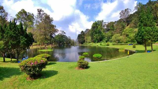 Kebun Raya Cibodas