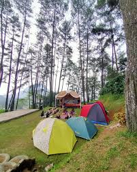 The Reungit Forest